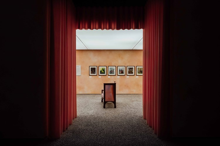 Expo Tim Walker (4)